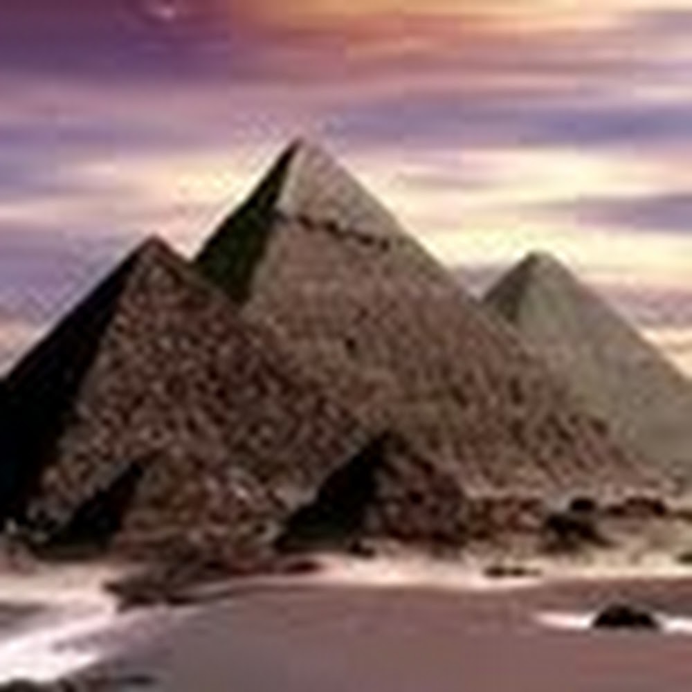 Meet your Posher, Nichelle